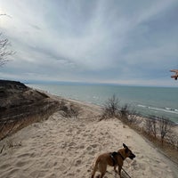 Photo taken at Indiana Dunes State Park by Catherine R. on 3/11/2023