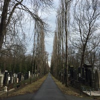 Photo taken at New Jewish Cemetery by Tomáš R. on 1/27/2019