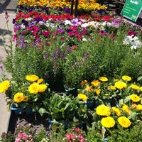 Armstrong Garden Centers 2 Tips From 153 Visitors