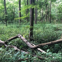 Photo taken at Warbler Woods Nature Preserve by Andrew R. on 8/30/2018