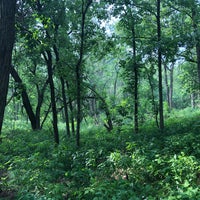 preserve beargrass creek nature state