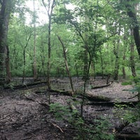 beargrass preserve creek nature state