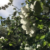 Photo taken at Reutov City Park by Ilya S. on 5/18/2021