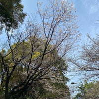 Photo taken at Kitanomaru Park by みきてぃ on 4/2/2024