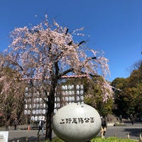 Photo taken at Ueno Park by みきてぃ on 3/24/2020