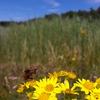 Photo taken at Parc du Marquenterre by Arne V. on 7/9/2017