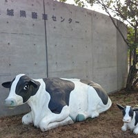 茨城県畜産センター 根小屋１２３４