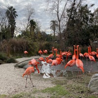 Photo taken at Sacramento Zoo by Marko R. on 1/17/2022
