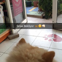 Photo taken at Pet Dünyası Veteriner Kliniği by Yasemin S. on 11/12/2015