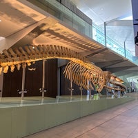 Photo taken at Melbourne Museum by Joe W. on 12/23/2023
