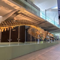 Снимок сделан в Melbourne Museum пользователем Joe W. 12/23/2023