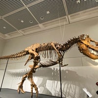 Photo taken at Osaka Museum of Natural History by うちゃぎ on 9/14/2023