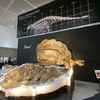 Photo taken at Osaka Museum of Natural History by うちゃぎ on 9/14/2023