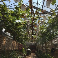 名古屋園芸 東区 名古屋市 愛知県