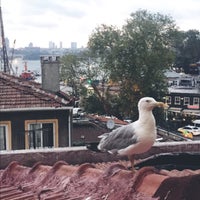 8/2/2017 tarihinde Sena Nur K.ziyaretçi tarafından Keyif İstanbul'de çekilen fotoğraf