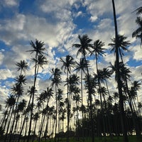 Foto diambil di Sheraton Kauai Coconut Beach Resort oleh erny pada 4/19/2024
