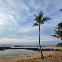 Image added by erny R at Lydgate Beach Image added by erny R at Lydgate Beach