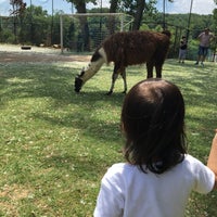 Photo taken at Piknik Park Polonezköy Petting Zoo by B O. on 6/5/2017
