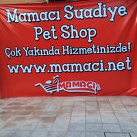 1/25/2014にGül T.がMamacı Suadiye Pet Shopで撮った写真