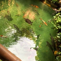 Chew Thean Yang Aquatic Pet 周天央 Cty Pet Store