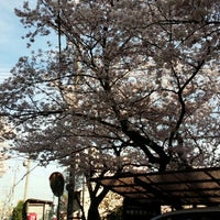 社会福祉法人 神愛子供ホーム Nursery School In 東灘区