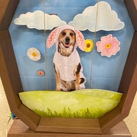 petsmart bunker hill