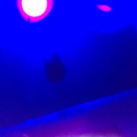 Foto tirada no(a) Guava Lamp por aeroRafa em 11/22/2017