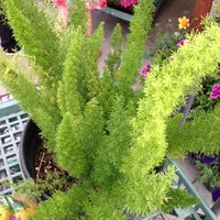 Armstrong Garden Centers Sherman Oaks 12920 Magnolia Blvd Photo Taken At Armstrong Garden Centers By Kristi N On 4 7 2017