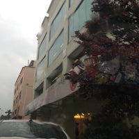St Angel Animal Medical Center Veterinarian