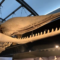 Photo taken at Museum of Natural Sciences by Ruben H. on 7/27/2023