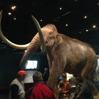 Das Foto wurde bei Denver Museum of Nature and Science von Leslie P. am 3/2/2013 aufgenommen