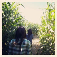 Photo taken at The Maize at the Pumpkin Patch by Duy B. on 9/30/2012