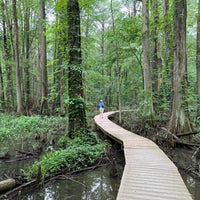 Photo taken at Battle Creek Cypress Swamp County Sanctuary by Jamin W. on 6/4/2022