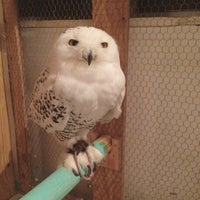 Cafe Hoot Hoot Cafe Cafe Hoot Hoot Cafe