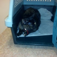 Photo taken at Gentle Care Animal Hospital by Auguste H. on 2/25/2013