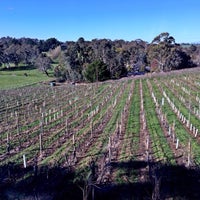 6/28/2015にBrad W.がHahndorf Hill Wineryで撮った写真