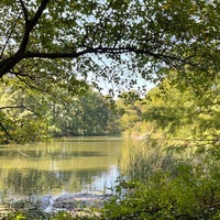 Photo taken at Murphy Lake - Forest Park by Wahab on 10/8/2021