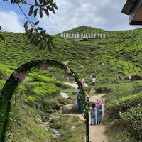 Photo taken at Cameron Bharat Tea Valley by GG on 2/28/2024