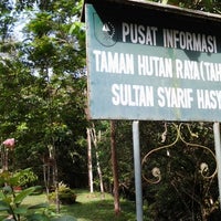 Foto Di Taman Hutan Raya Sultan Syarif Hasyim Tahura Ssh