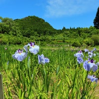 花の郷 滝谷花しょうぶ園 宇陀市 奈良県 花の郷 滝谷花しょうぶ園 宇陀市 奈良県
