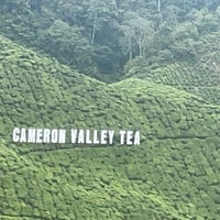 Photo taken at Cameron Bharat Tea Valley by Turki on 4/25/2023