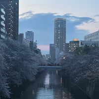 Photo taken at Meguro River Green Road by みんちゃん on 4/7/2024