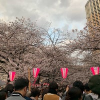 Photo taken at 中目黒の桜 by Sayuri on 3/31/2019
