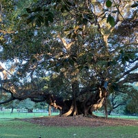 Photo taken at Royal Botanic Garden by Marianne B. on 4/13/2024