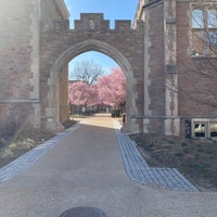 3/20/2022にMがWashington Universityで撮った写真