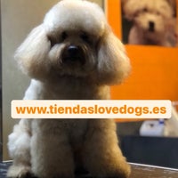 Photo taken at Lovedogs®️ by Lovedogs ®. on 6/23/2021