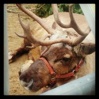 Photo taken at Reindeer by Jaena Rae on 12/16/2012