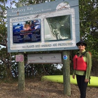 3/25/2017 tarihinde David L.ziyaretçi tarafından Rookery Bay National Estuarine Research Reserve'de çekilen fotoğraf