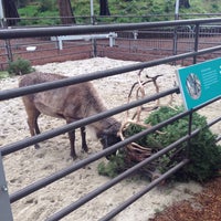 Photo taken at Reindeer by David L. on 12/3/2015