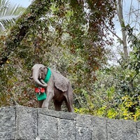 Photo prise au Zoológico de Chapultepec par Edgar P. le4/24/2024
